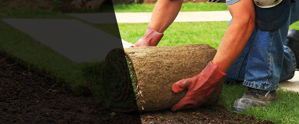 Thousand Oaks Landscapers